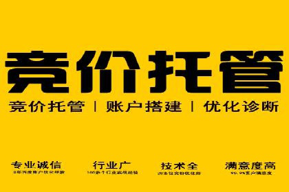 某电商平台的sem竞价推广托管经验